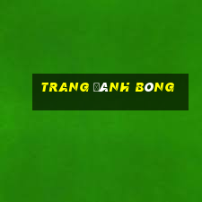 trang đánh bóng