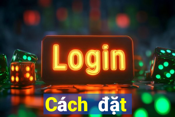 Cách đặt cược XSTN hôm nay