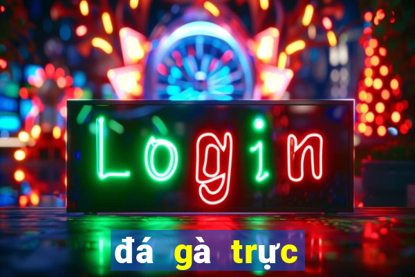 đá gà trực tiếp casino hôm nay