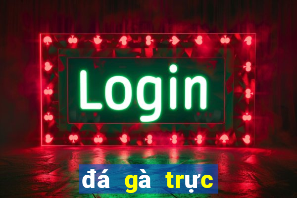 đá gà trực tiếp casino hôm nay