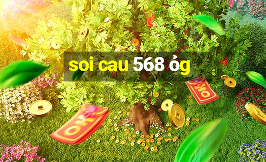 soi cau 568 ỏg