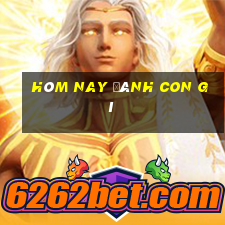 hôm nay đánh con gì