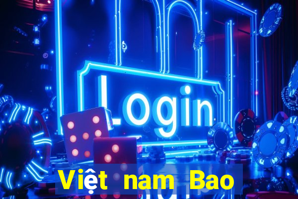 Việt nam Bao Ying Description