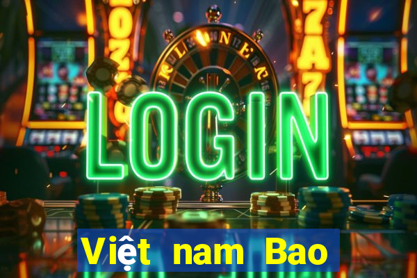 Việt nam Bao Ying Description