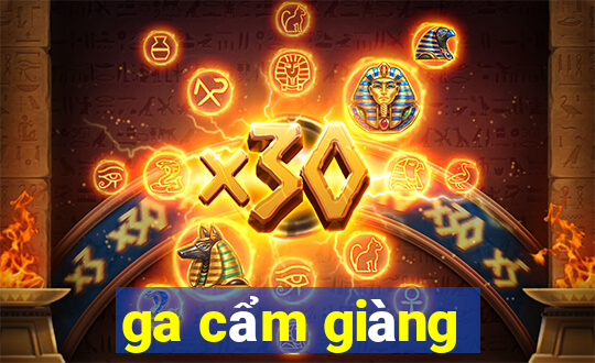 ga cẩm giàng