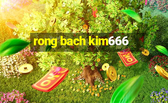 rong bach kim666