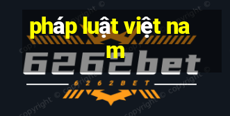 pháp luật việt nam