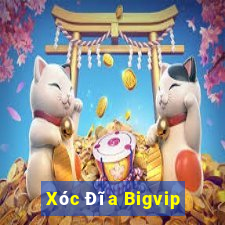 Xóc Đĩa Bigvip