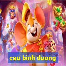 cau binh duong