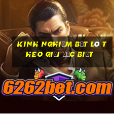 kinh nghiệm bắt lô theo giải đặc biệt