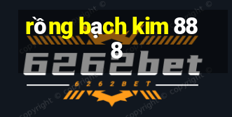 rồng bạch kim 888