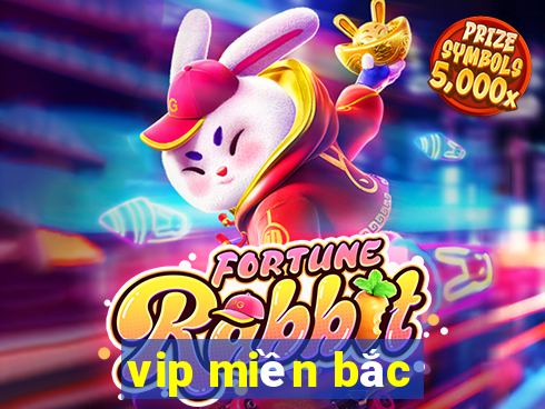 vip miền bắc