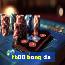 fb88 bóng đá