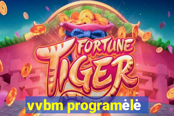 vvbm programėlė