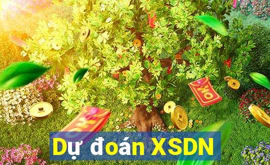 Dự đoán XSDN