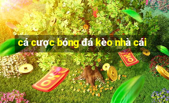 cá cược bóng đá kèo nhà cái