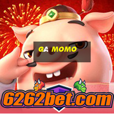 gà momo