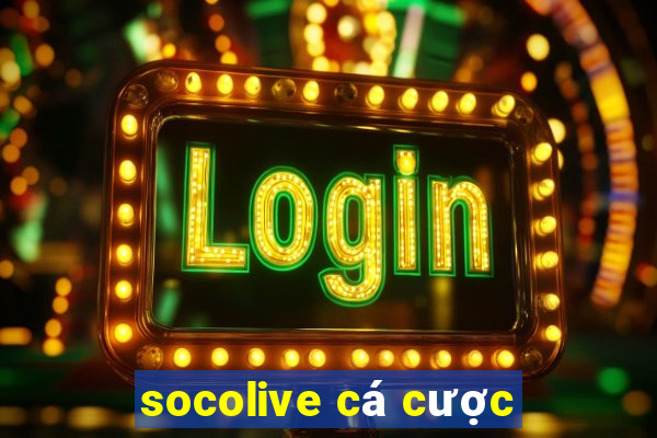 socolive cá cược