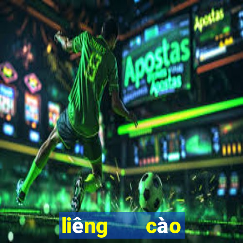 liêng   cào tố   3 cây