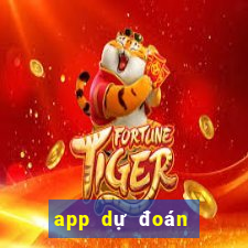 app dự đoán tiến lên