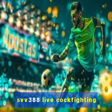 svv388 live cockfighting