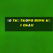 đô thị thông minh hải châu