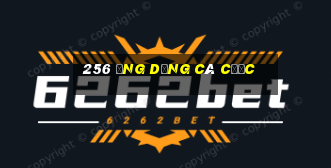 256 ứng dụng cá cược