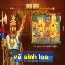 vệ sinh loa