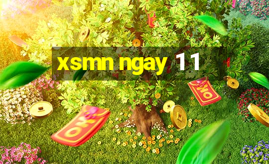 xsmn ngay 1 1