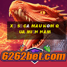 xổ số cà mau hôm qua miền nam