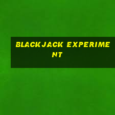 blackjack experiment