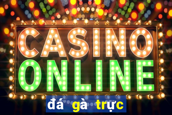 đá gà trực tiếp casino 67