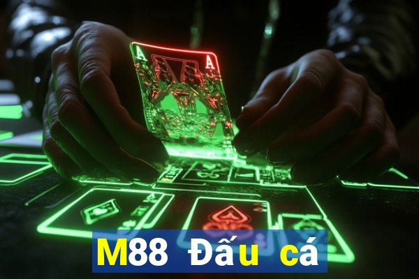 M88 Đấu cá cào vé số