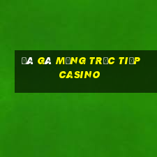 đá gà mạng trực tiếp casino