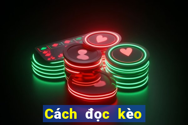 Cách đọc kèo bóng đá 1 4