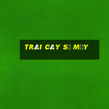 trái cây số mấy