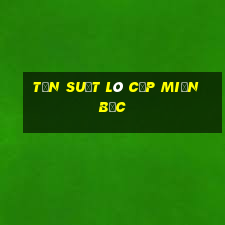 tần suất lô cặp miền bắc