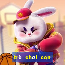 trò chơi con mực game vui