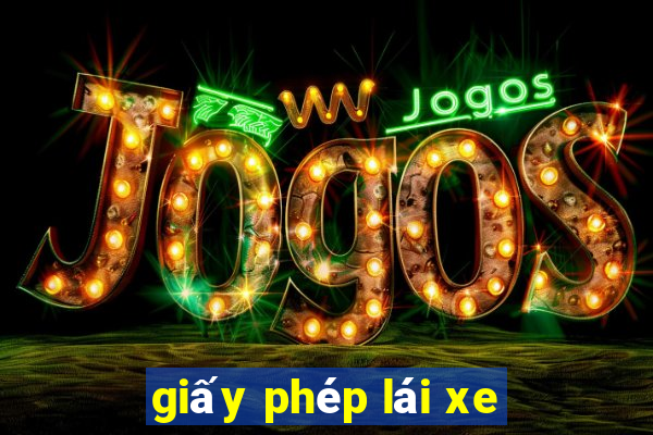 giấy phép lái xe