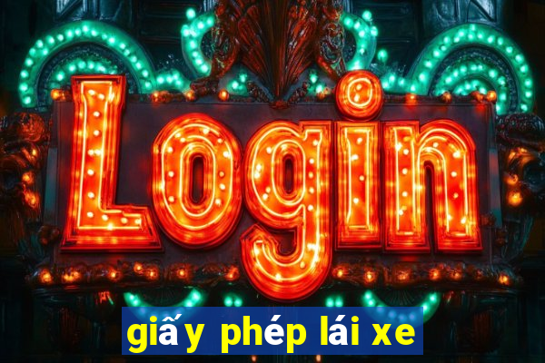 giấy phép lái xe