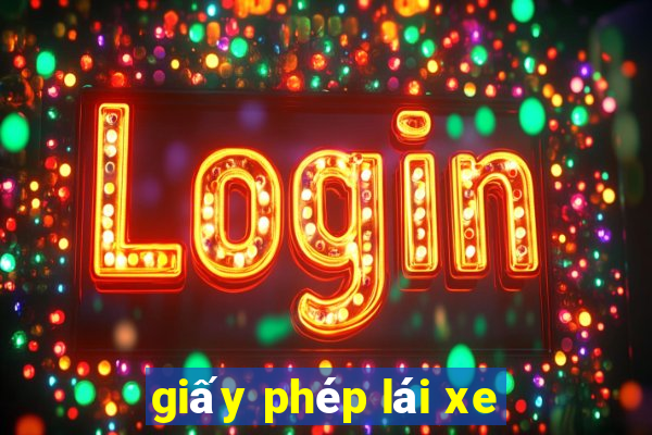 giấy phép lái xe