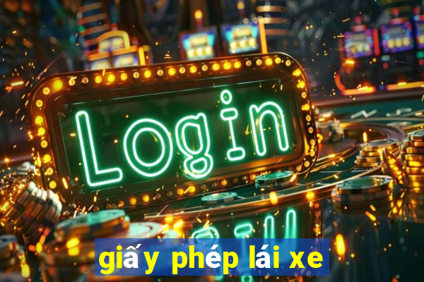 giấy phép lái xe