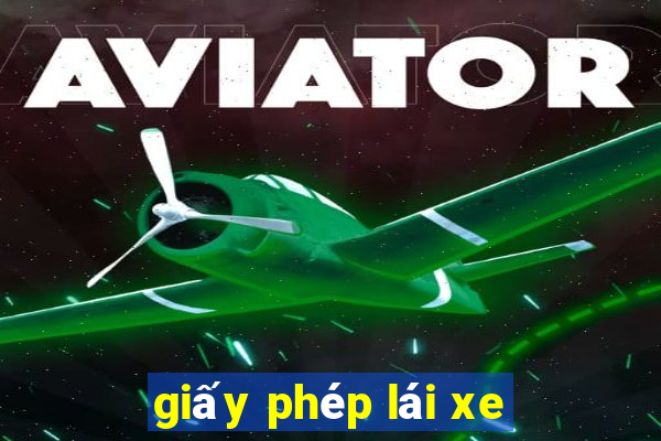 giấy phép lái xe