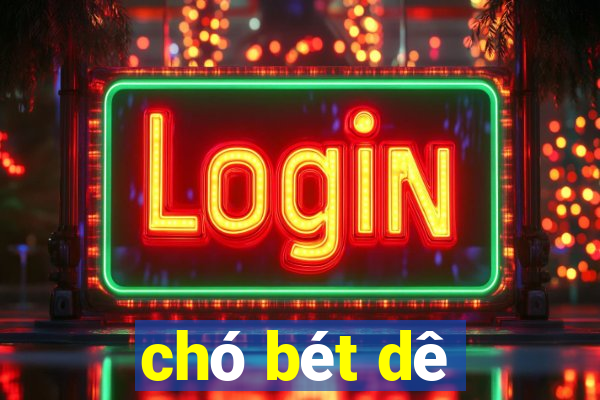 cho bet de