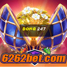 dong 247