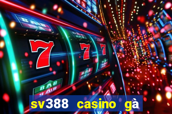 sv388 casino gà đòn trực tiếp