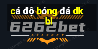 cá độ bóng đá dkbl