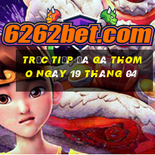 trực tiếp đá gà thomo ngày 19 tháng 04