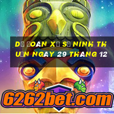 dự đoán xổ số ninh thuận ngày 29 tháng 12