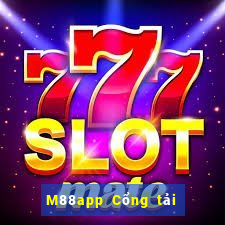 M88app Cổng tải xuống Fun88 Dingbo